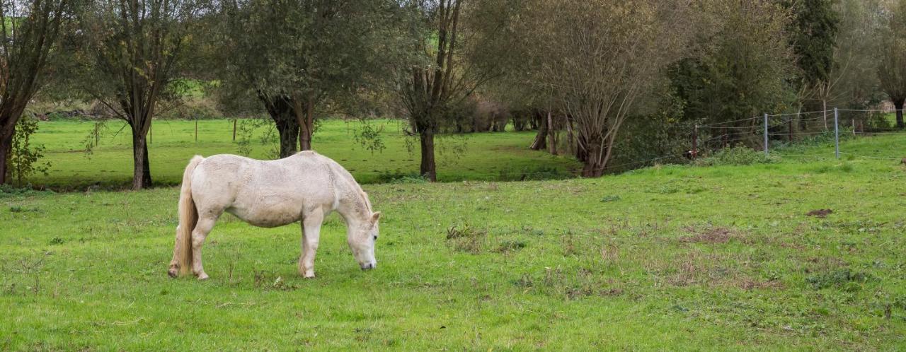 B&B Ferme Chateau De Laneffe エクステリア 写真